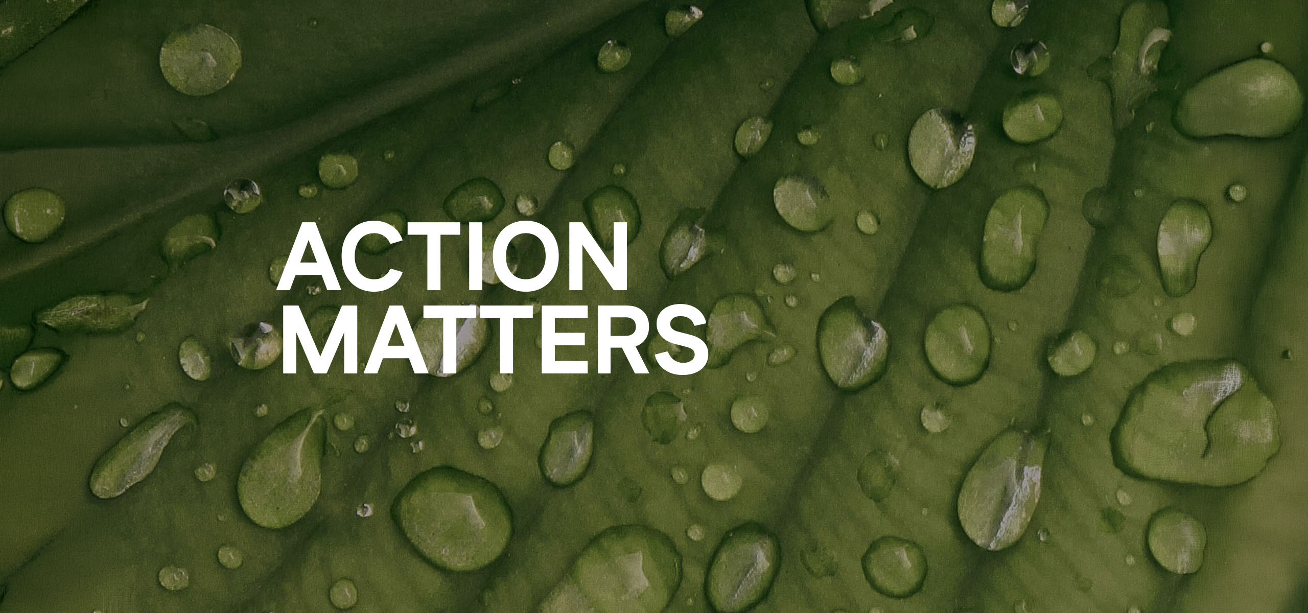 Matters Group/Mutag/Lynddahl