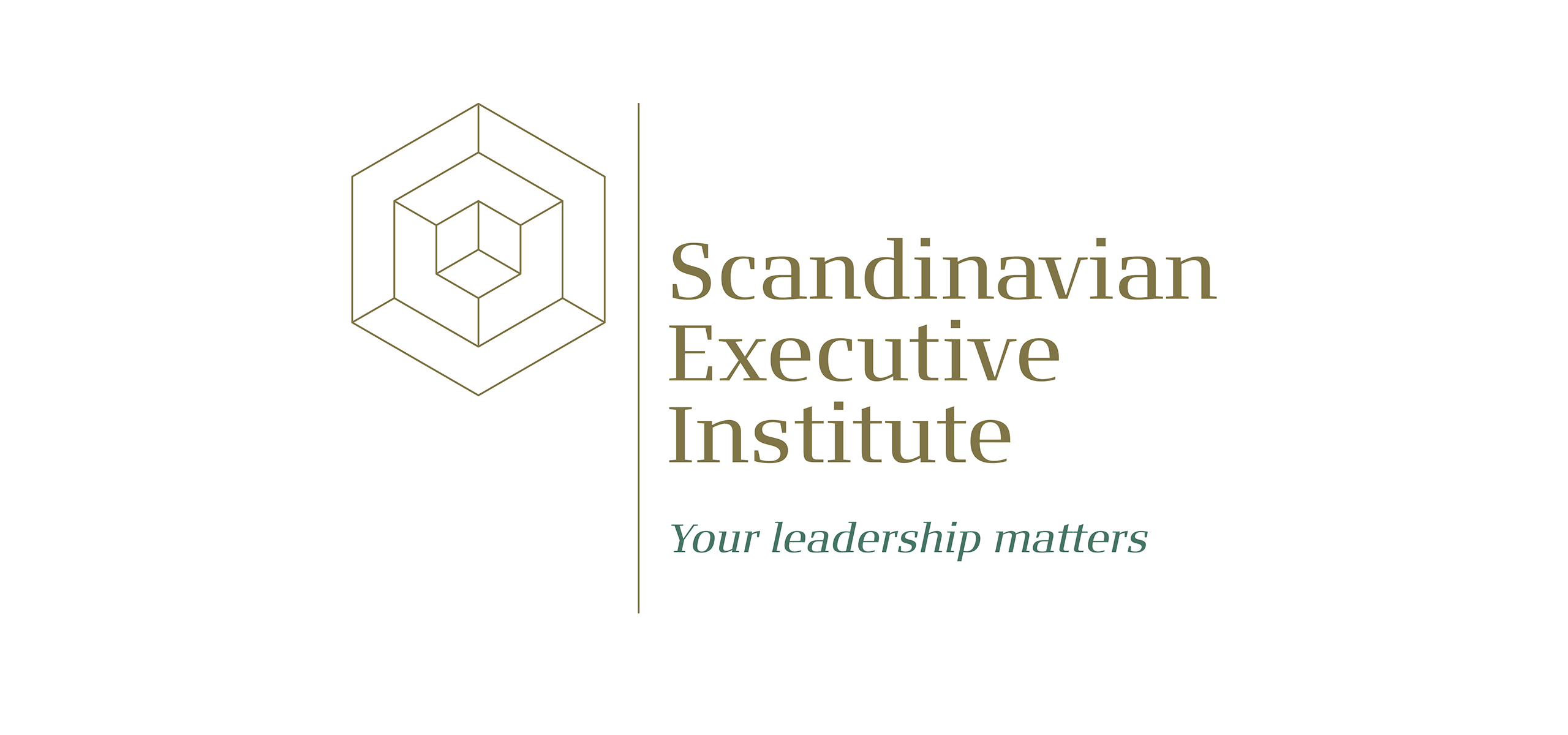Scandinavian Executive Institute
