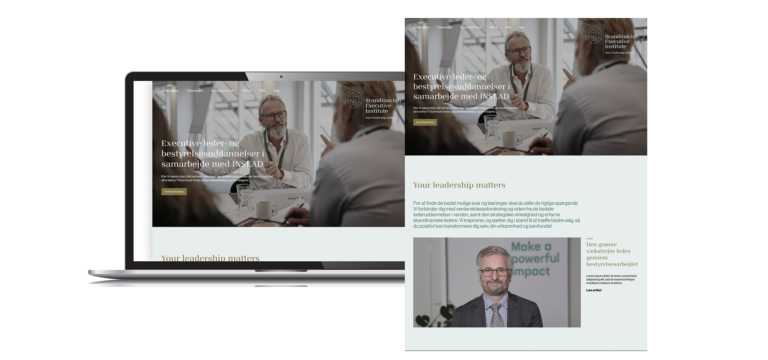 Scandinavian Executive Institute